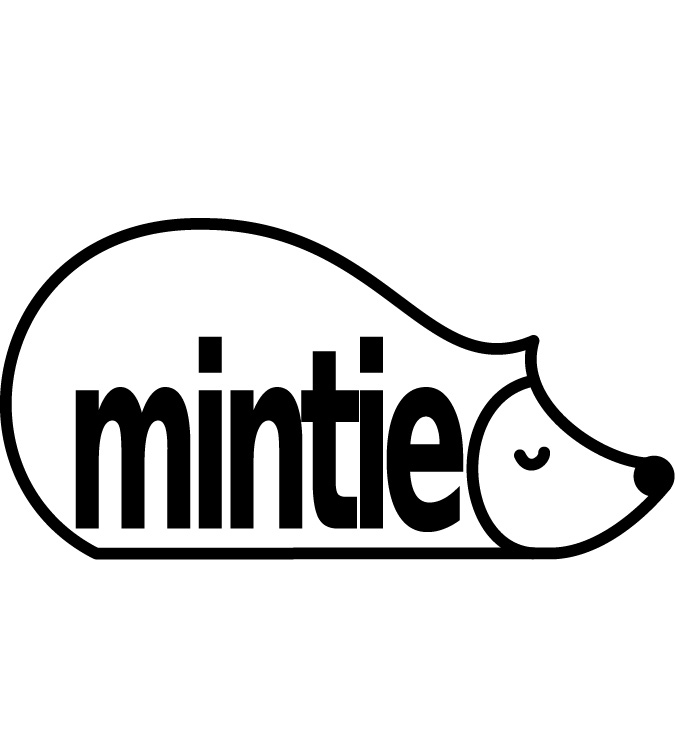 Mintie Lunchboxes