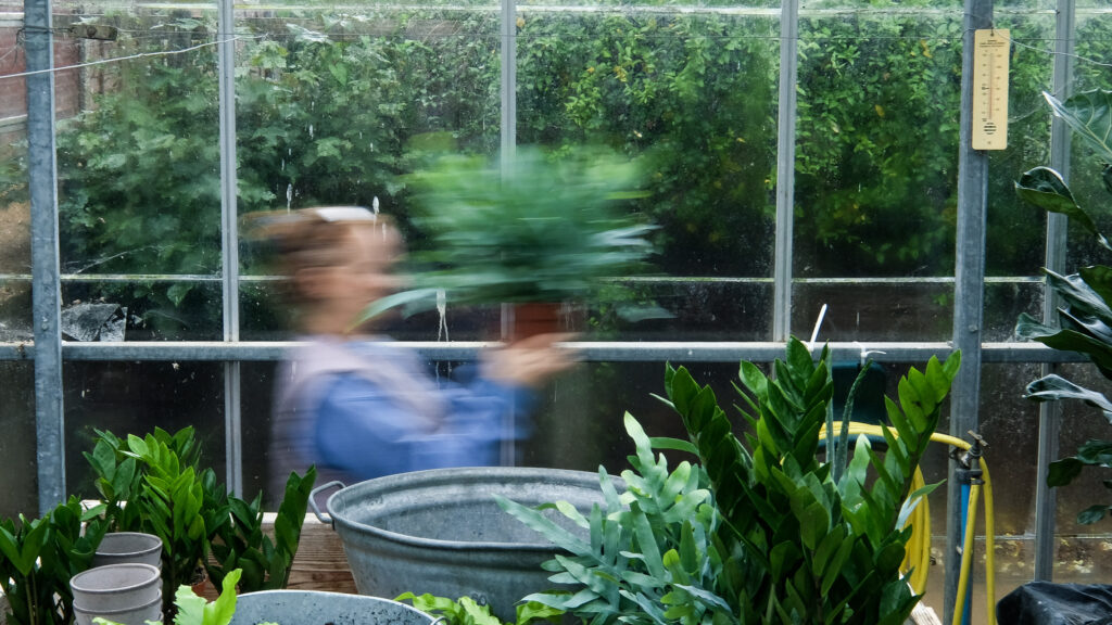 woman carrying plant in prison greenhouse