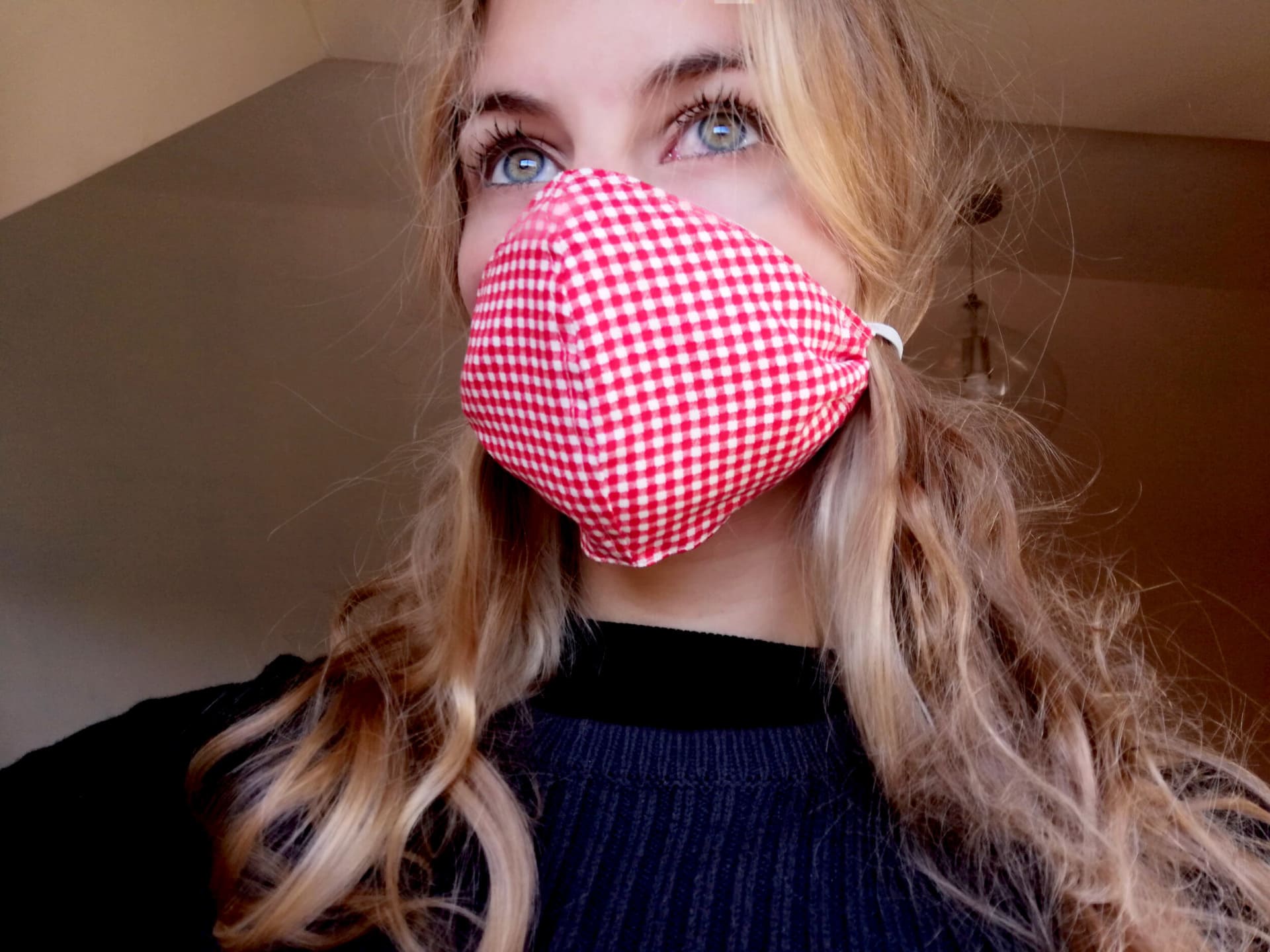 Red Gingham Reusable Face Mask