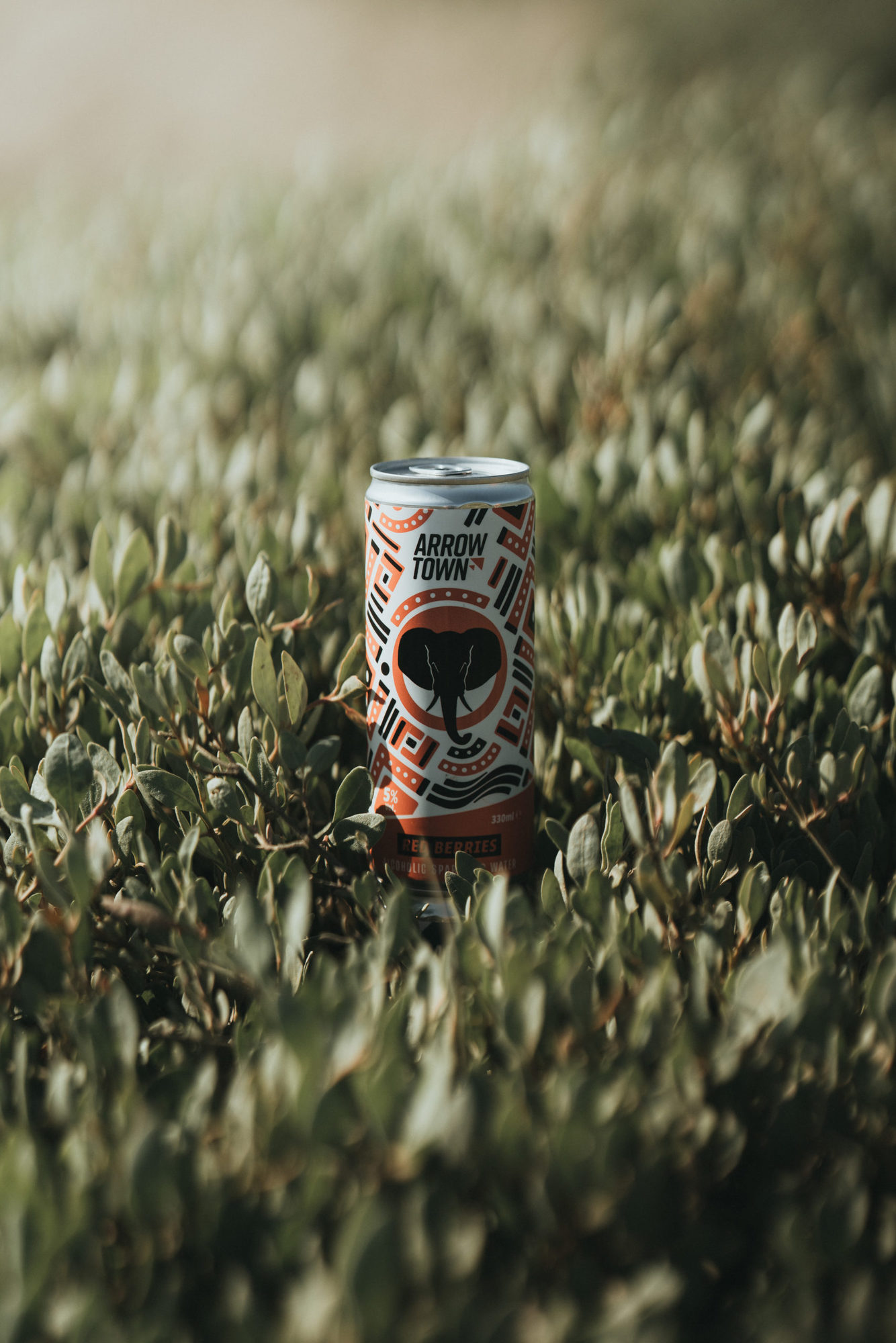 Red Berries - 330ml Cans