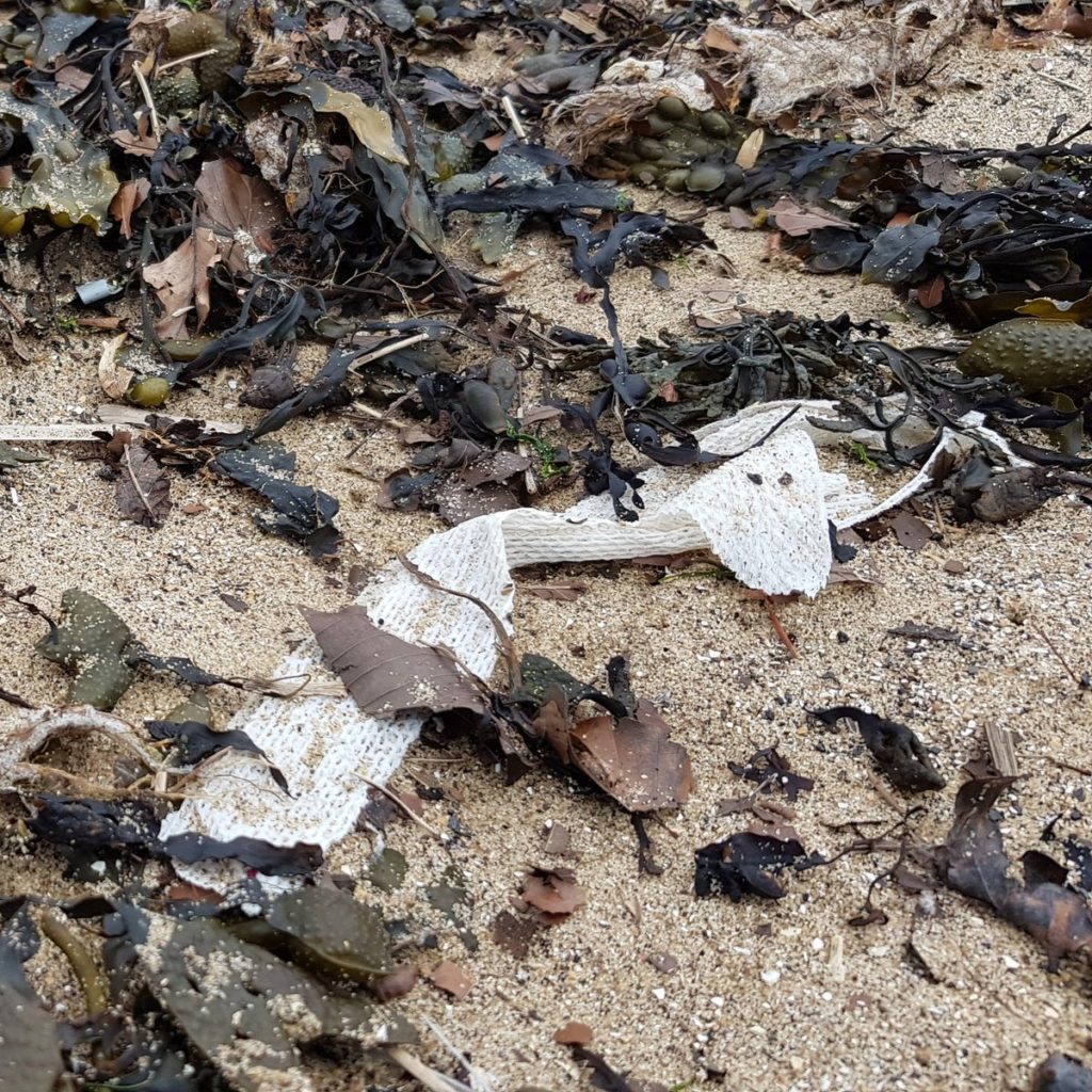 Period pollution on a beach, tangled up in seaweed