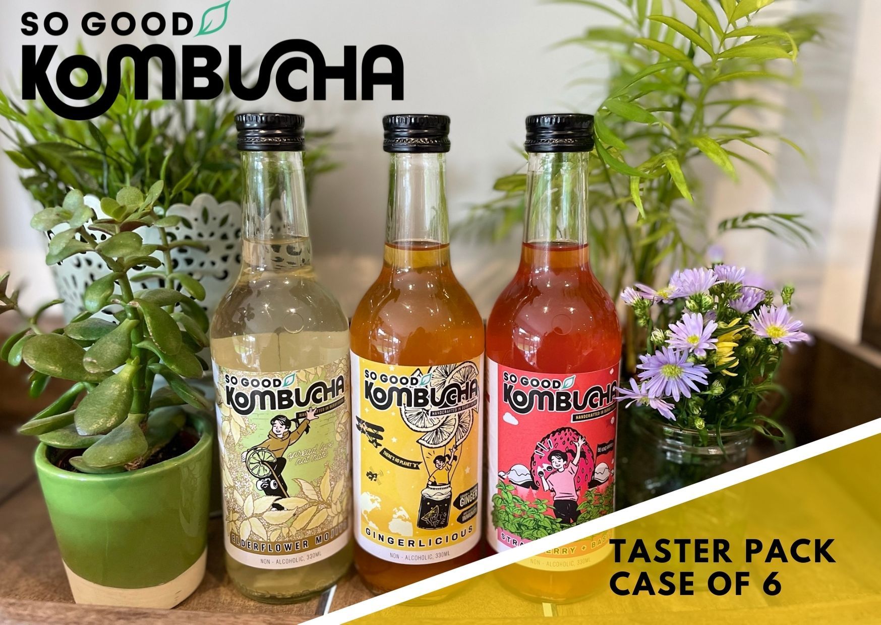 So Good Kombucha Taster Pack, Case of 6