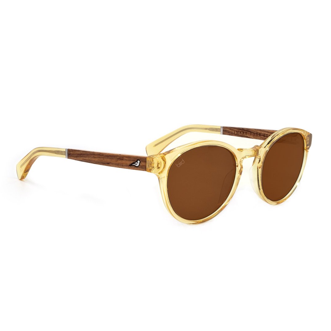 Kaka Sunglasses | Honey