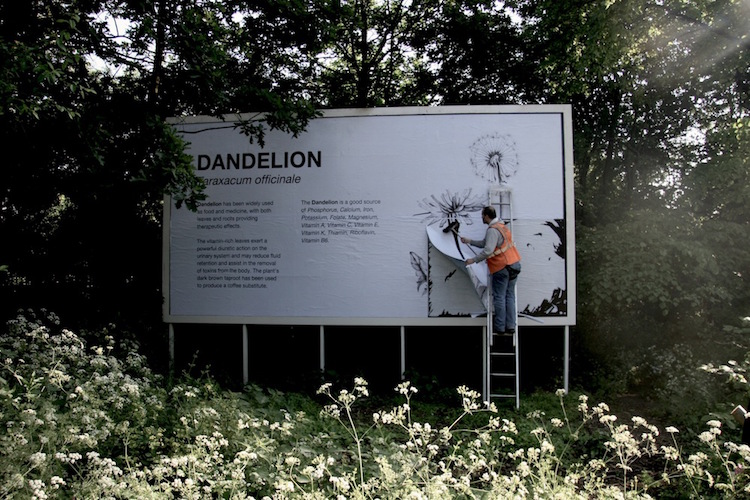 A billboard goes up in the Phytology community garden