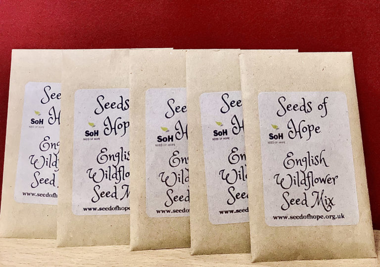 Five packets of English Wildflower Seeds