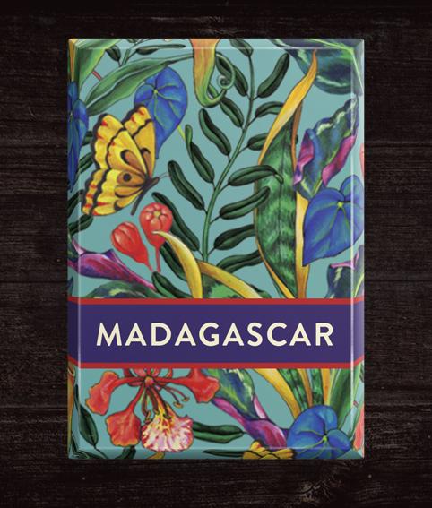 Madagascar Dispencer Box of Vegan Dark Chocolate - 120 x 5.5g Napolitains