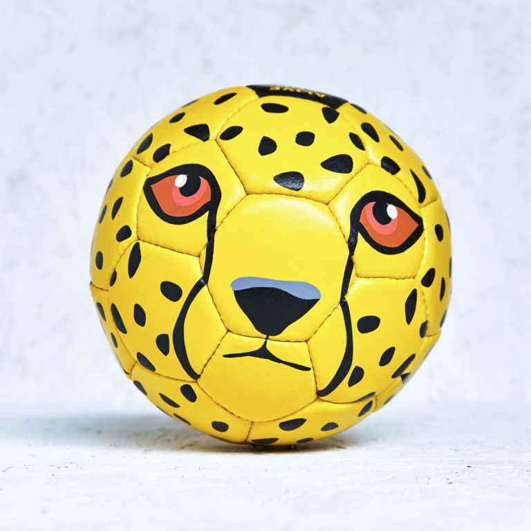 Cheetah | Duma