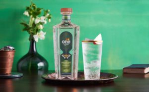 One Gin bottle next to a G&T on a green background with flowers in a vase in the background
