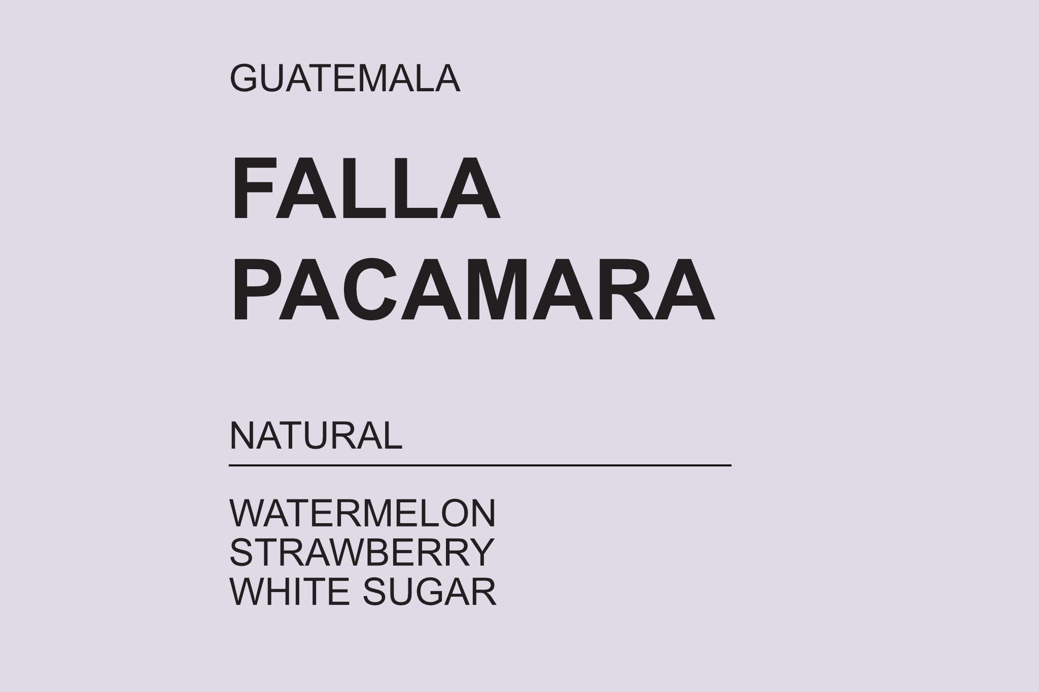 Falla Pacamara - Guatemala