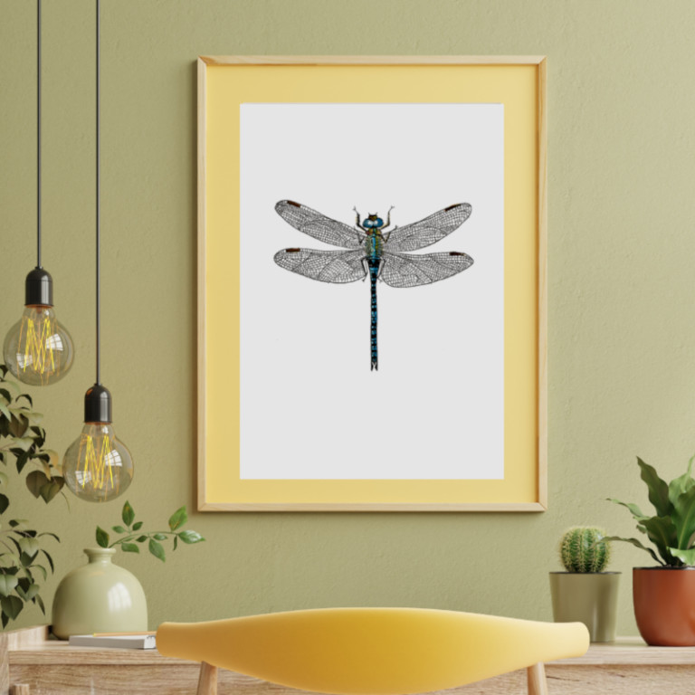 Dragonfly Recycup Print
