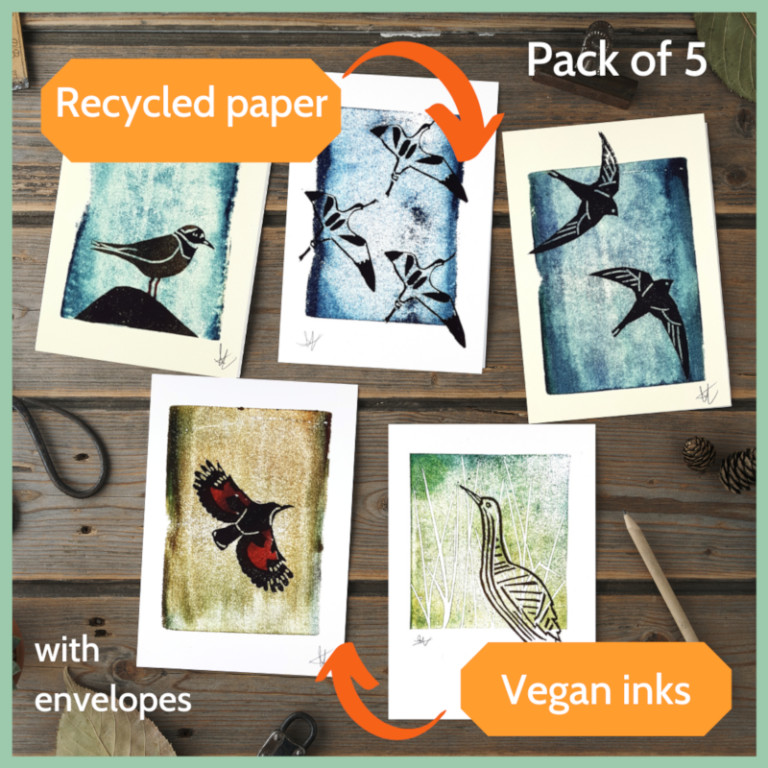 Pack 5 Bird Print Greetings Cards