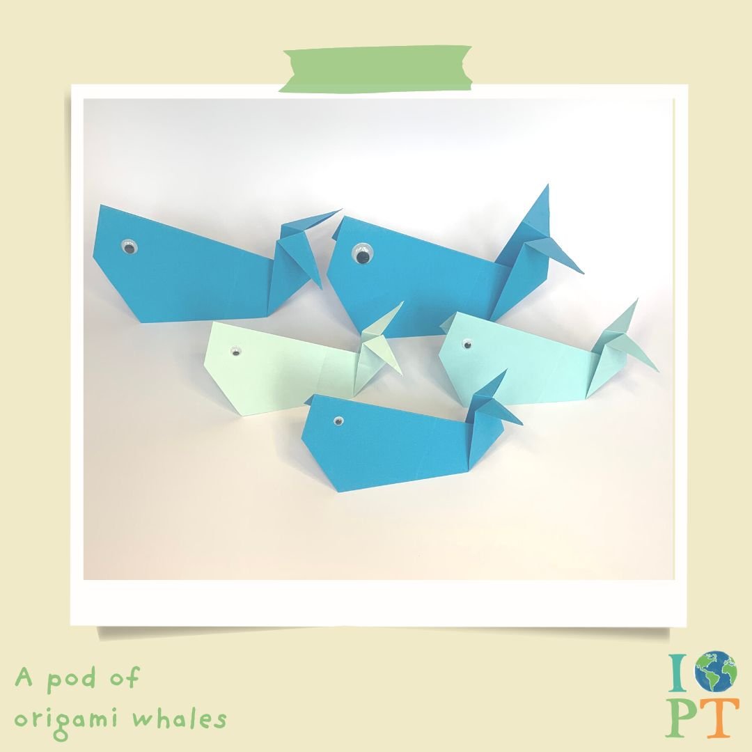 Eco Activity Kit - Brilliant Blue Whales