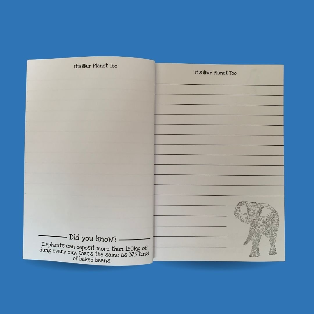 Fact-filled Animal Notebook
