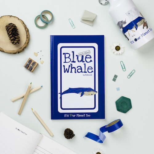 Fact-filled Blue Whale Notebook