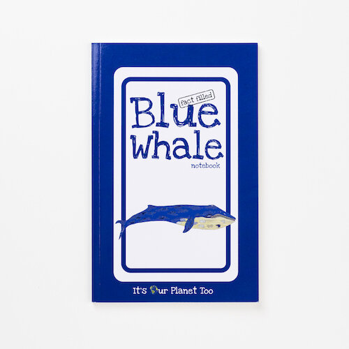 Fact-filled Blue Whale Notebook