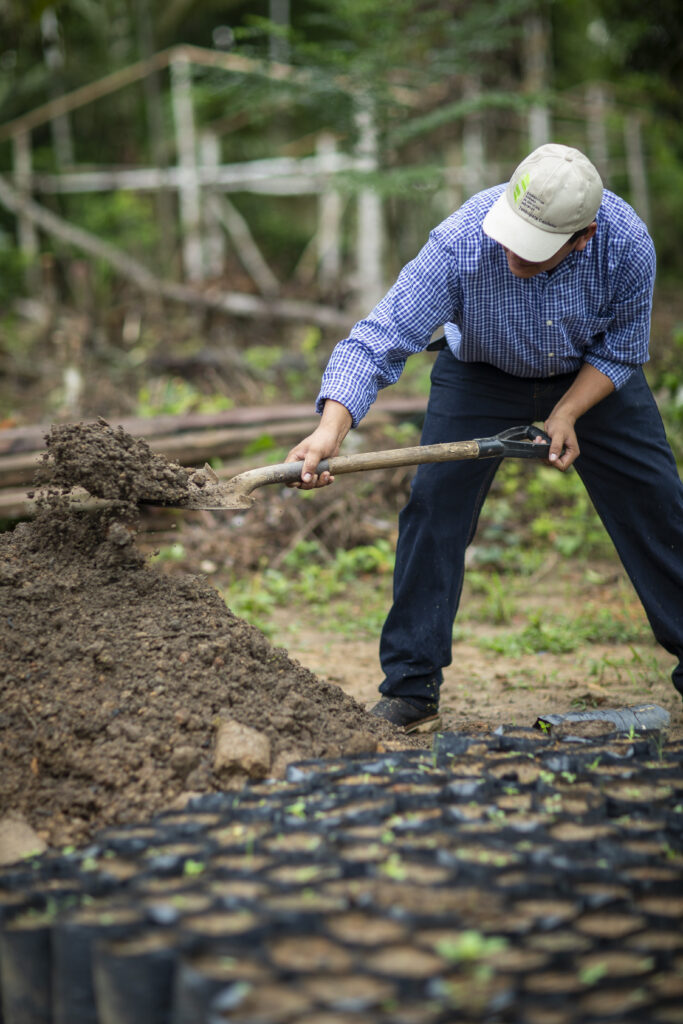 A man shovels soil next to a lot of saplings