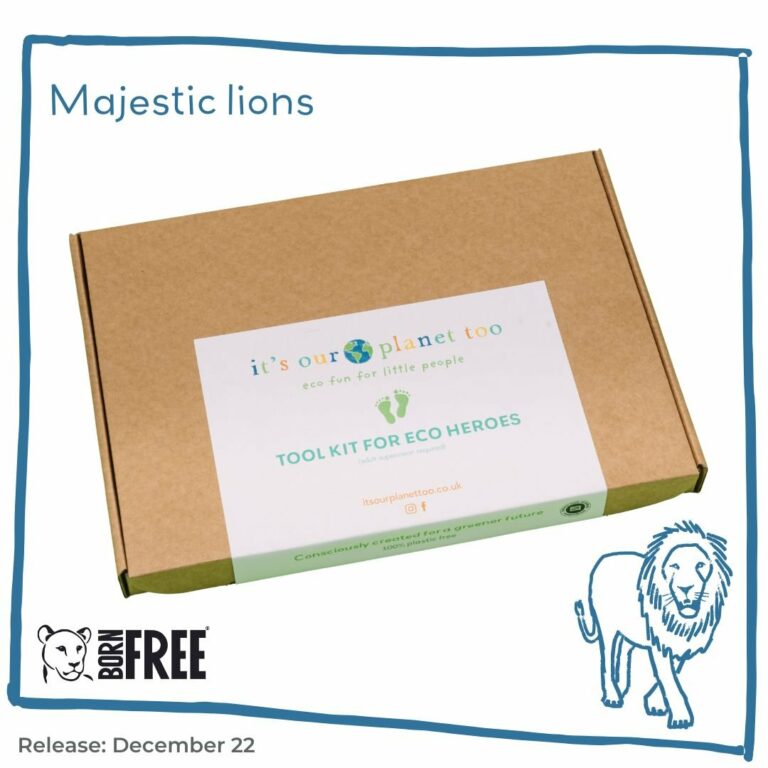 Eco Activity Kit - Majestic Lions