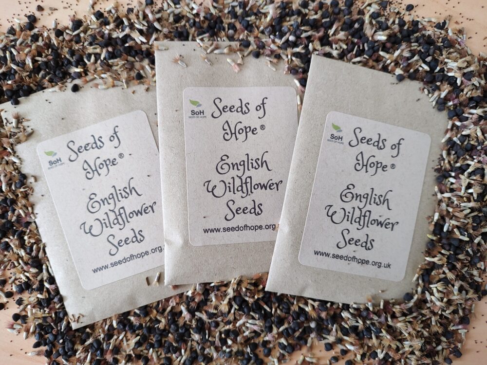 Three Packets of English Wildflower Seeds