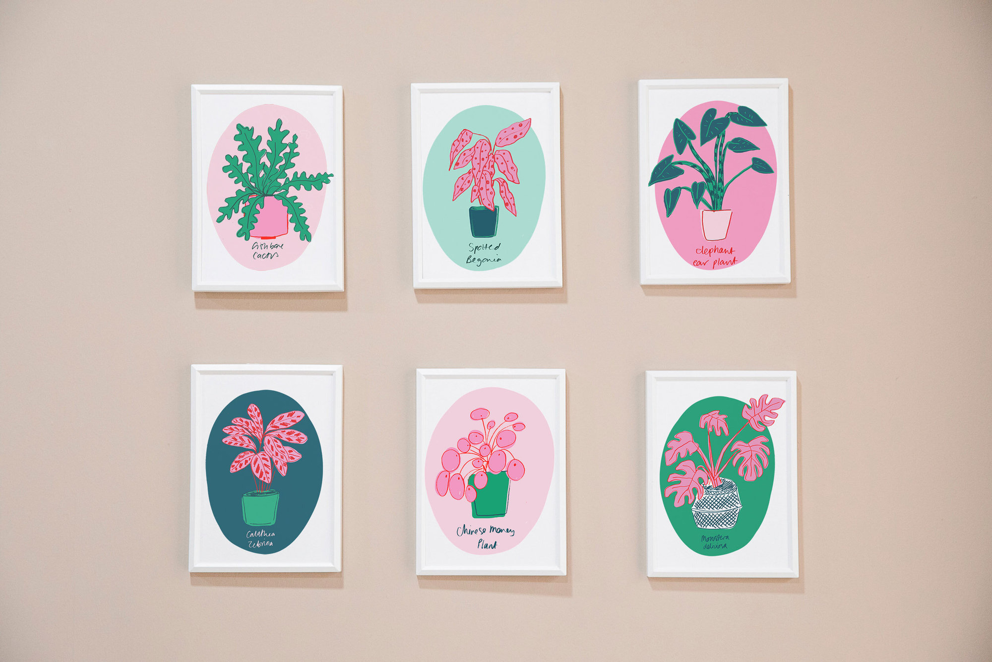 Houseplants Art Prints