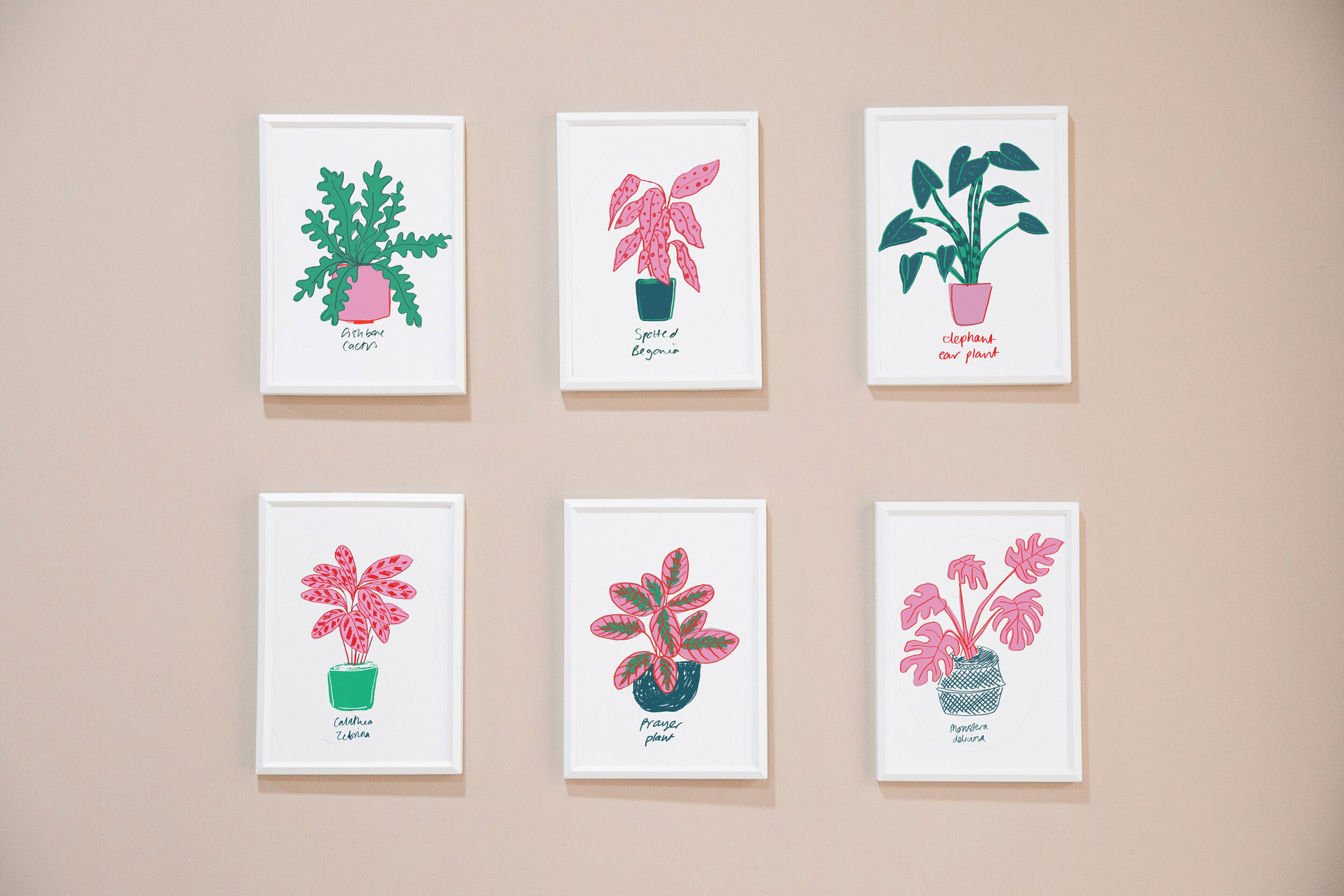Houseplants Art Prints - Prayer Plant, A5 (14.8 cm x 21 cm)