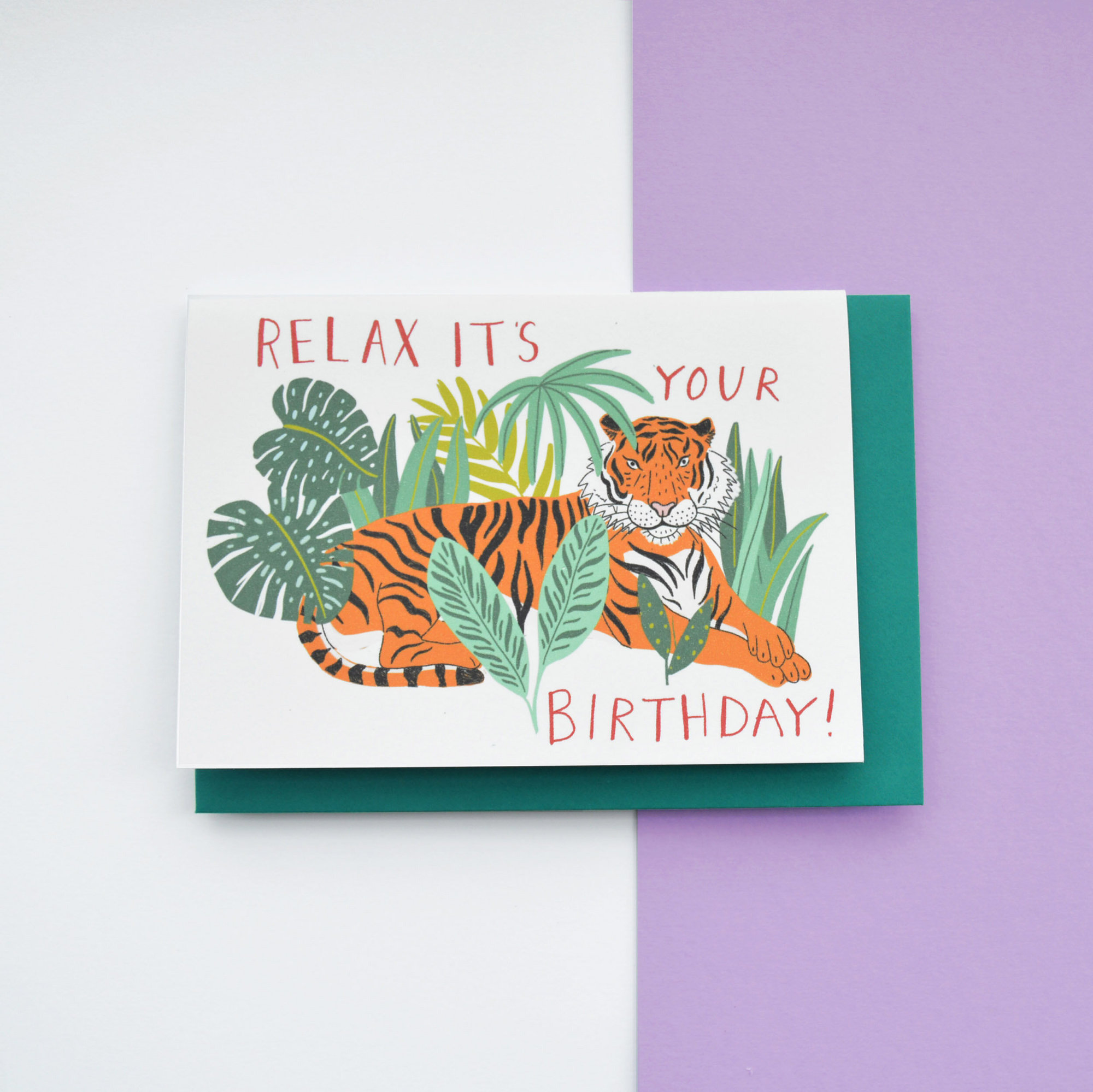'relax It's Your Birthday'. Tiger Birthday Card - Green Envelope