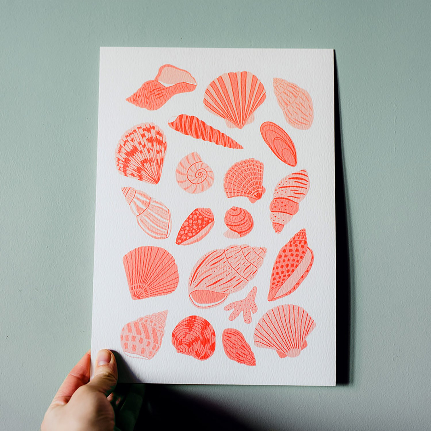 Shell Collection Art Print - A4