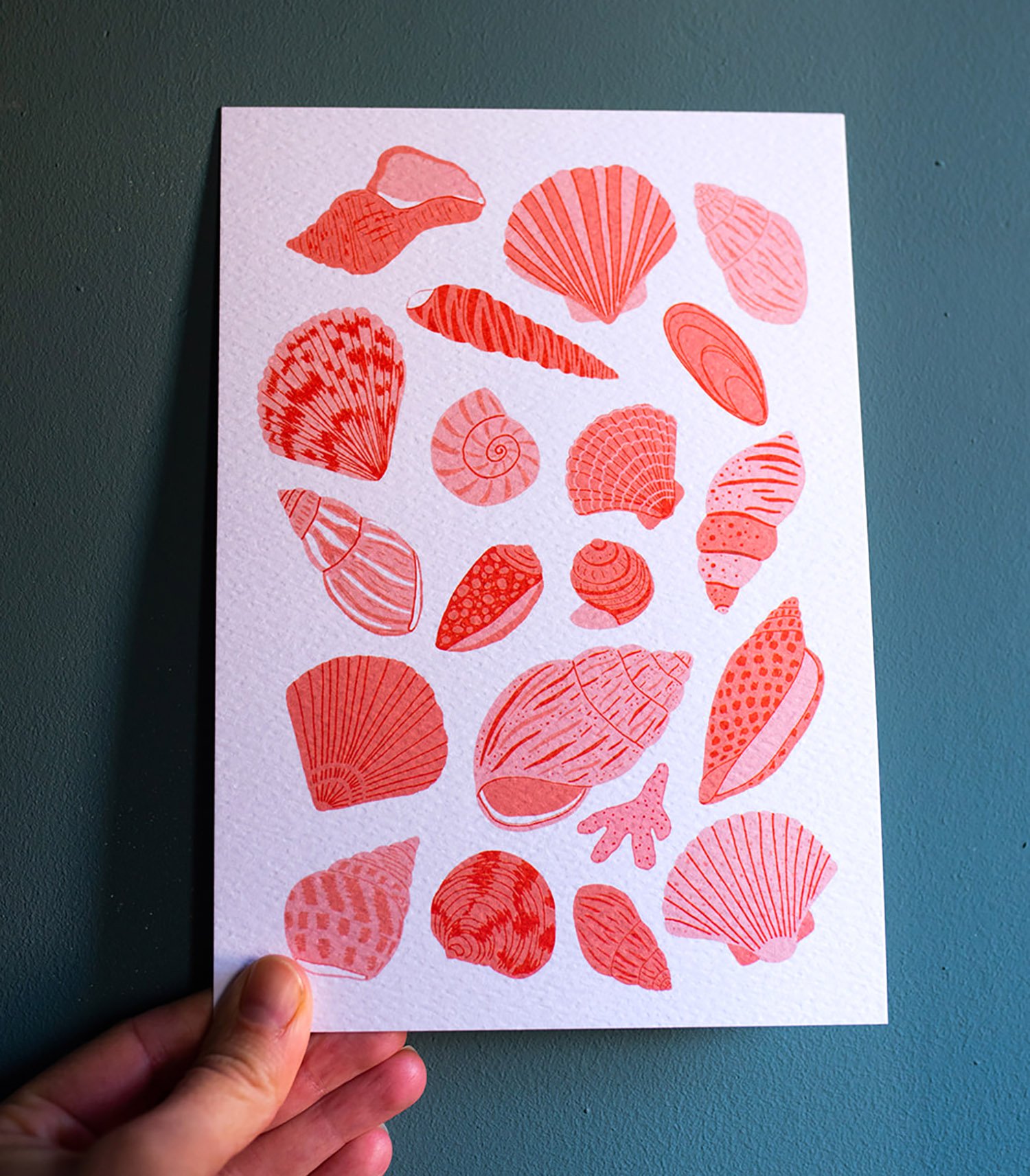 Shell Collection Art Print - A5