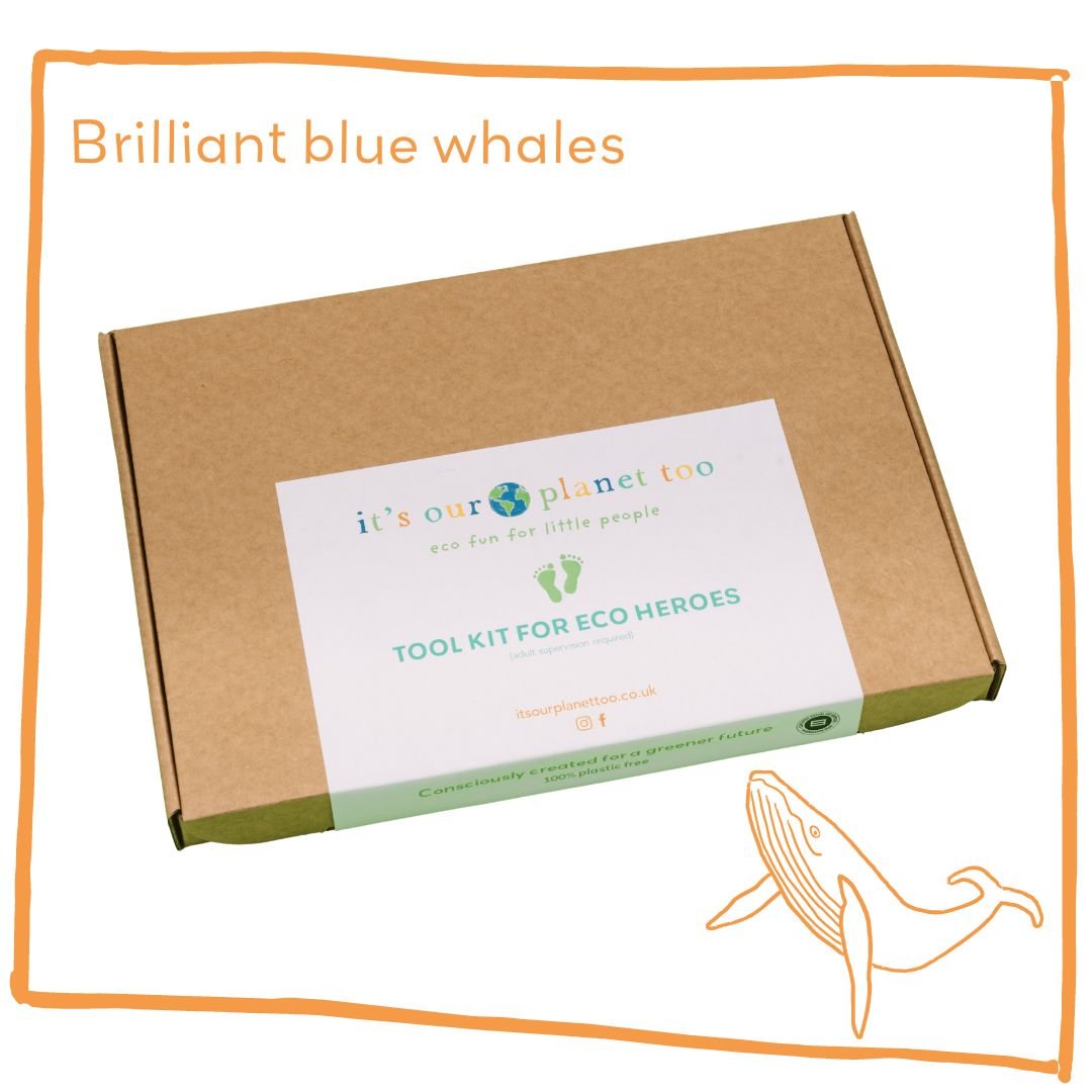 Eco Activity Kit - Brilliant Blue Whales