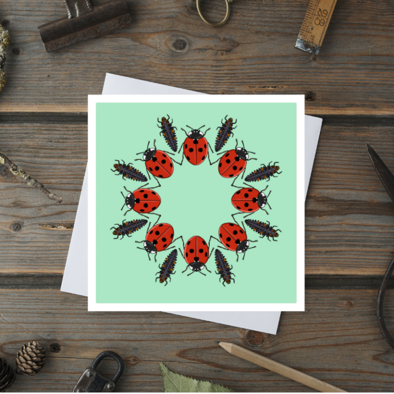 7 Spot Ladybird Greetings Card