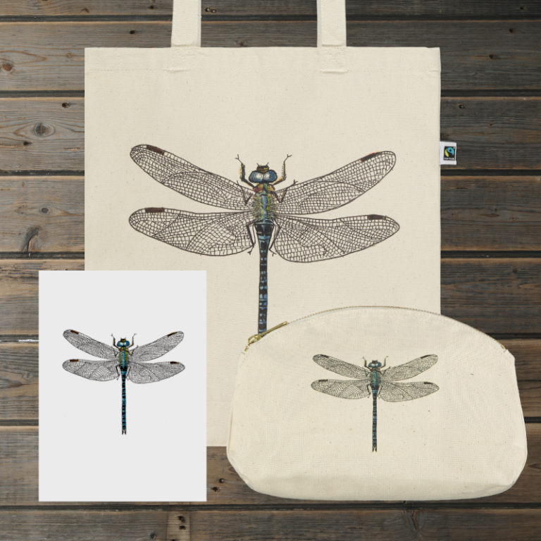 Dragonfly Gift Bundle
