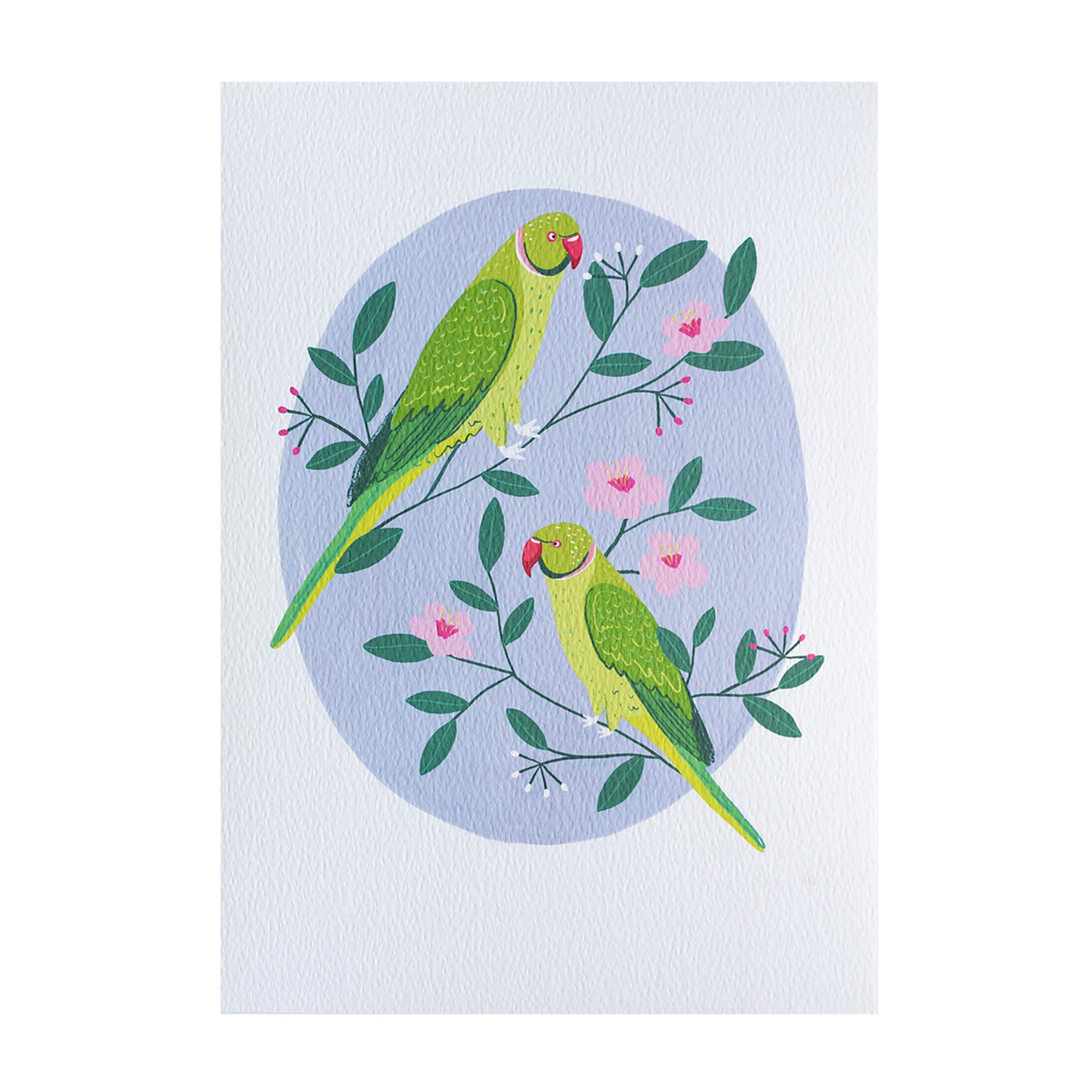 Parakeets Art Print