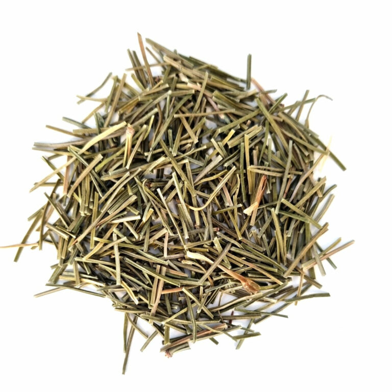 Pine Needle - Loose Herbal Tea