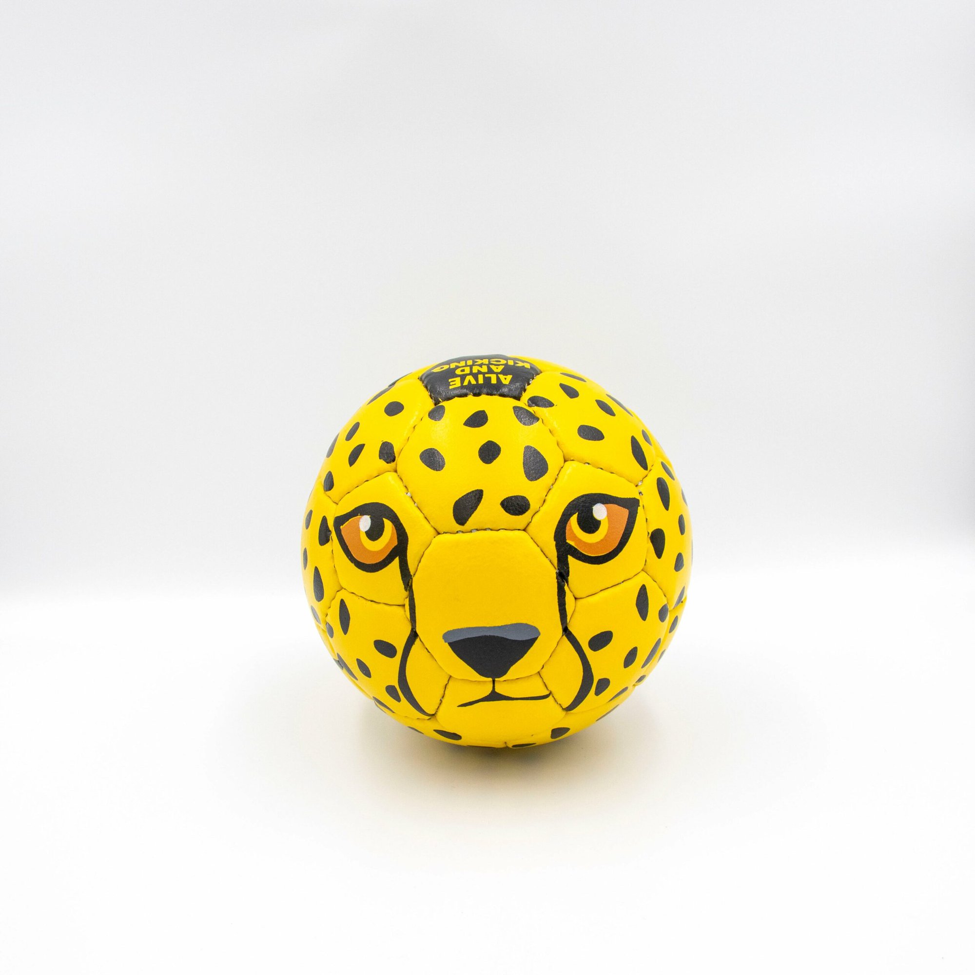 Cheetah - 1