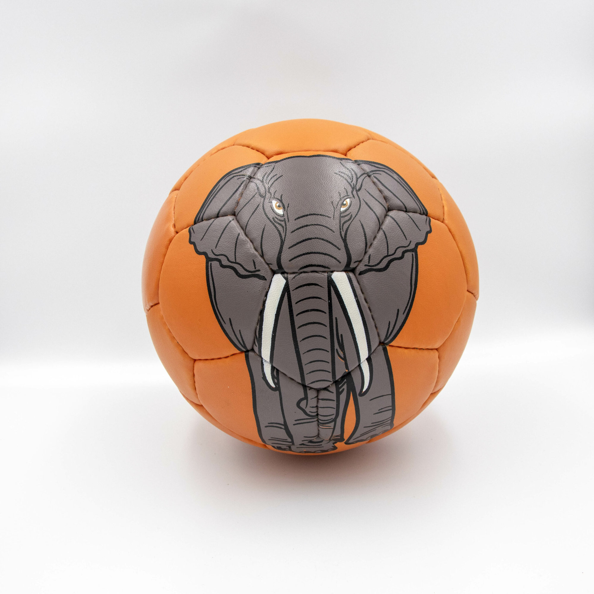 Elephant - 5, Orange