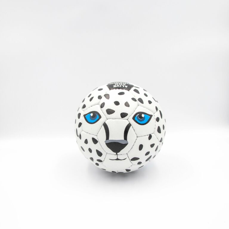 Snow Leopard - 1