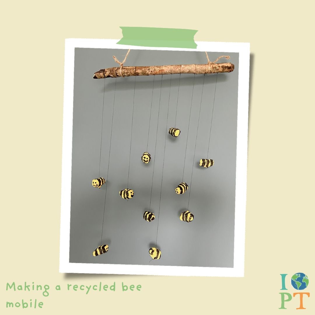 Eco Activity Kit - Buzzing Bees
