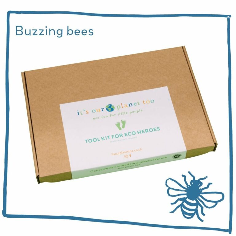 Eco Activity Kit - Buzzing Bees