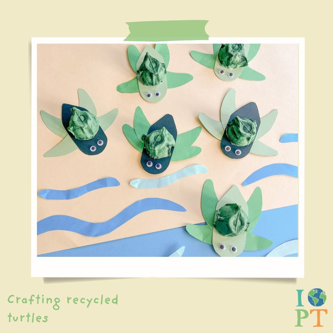 Eco Activity Kit - Marvellous Marine Turtles