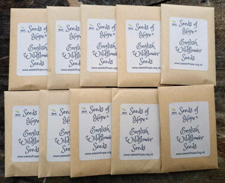 10 Packets Of English Wildflower Seeds