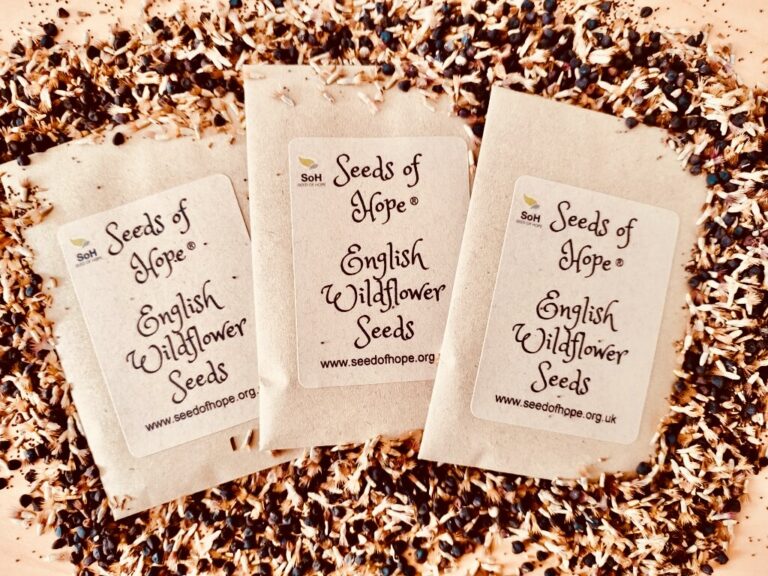 3 Packets Of English Wildflower Seeds Of Hope