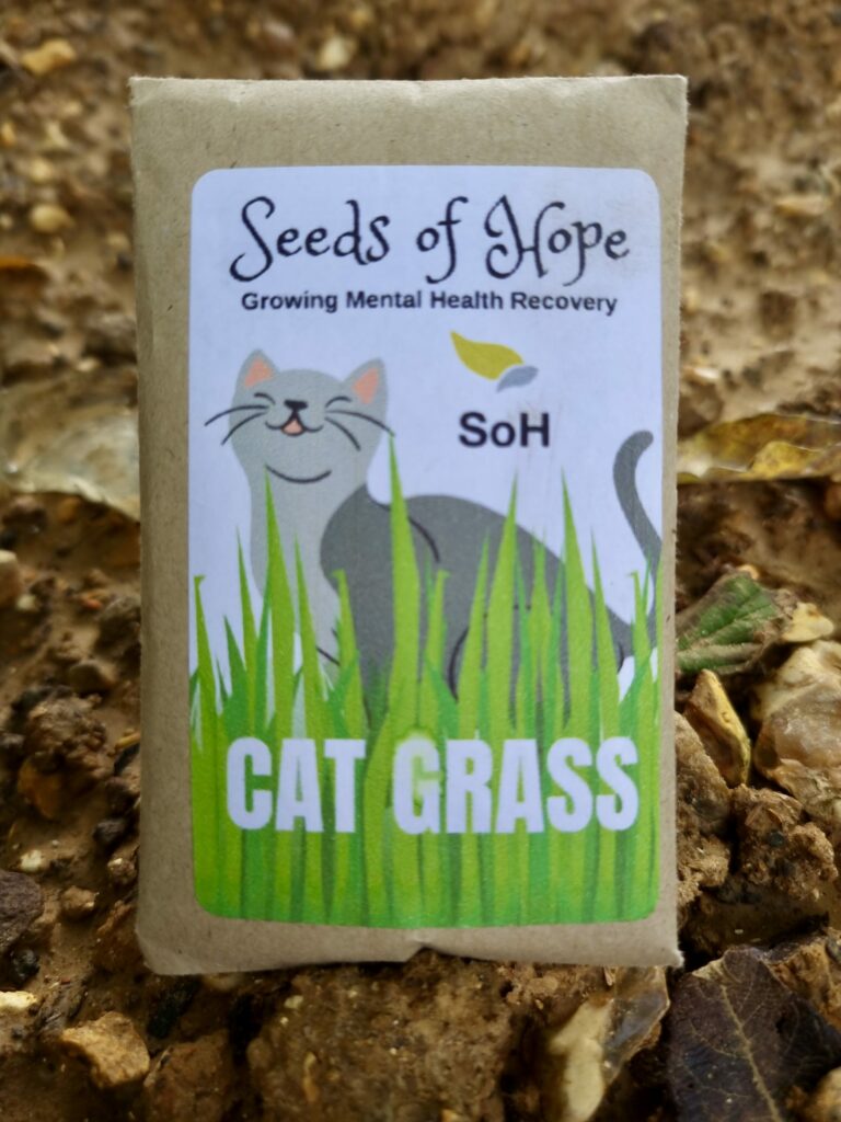 Cat Grass Seeds  - 1 Packet