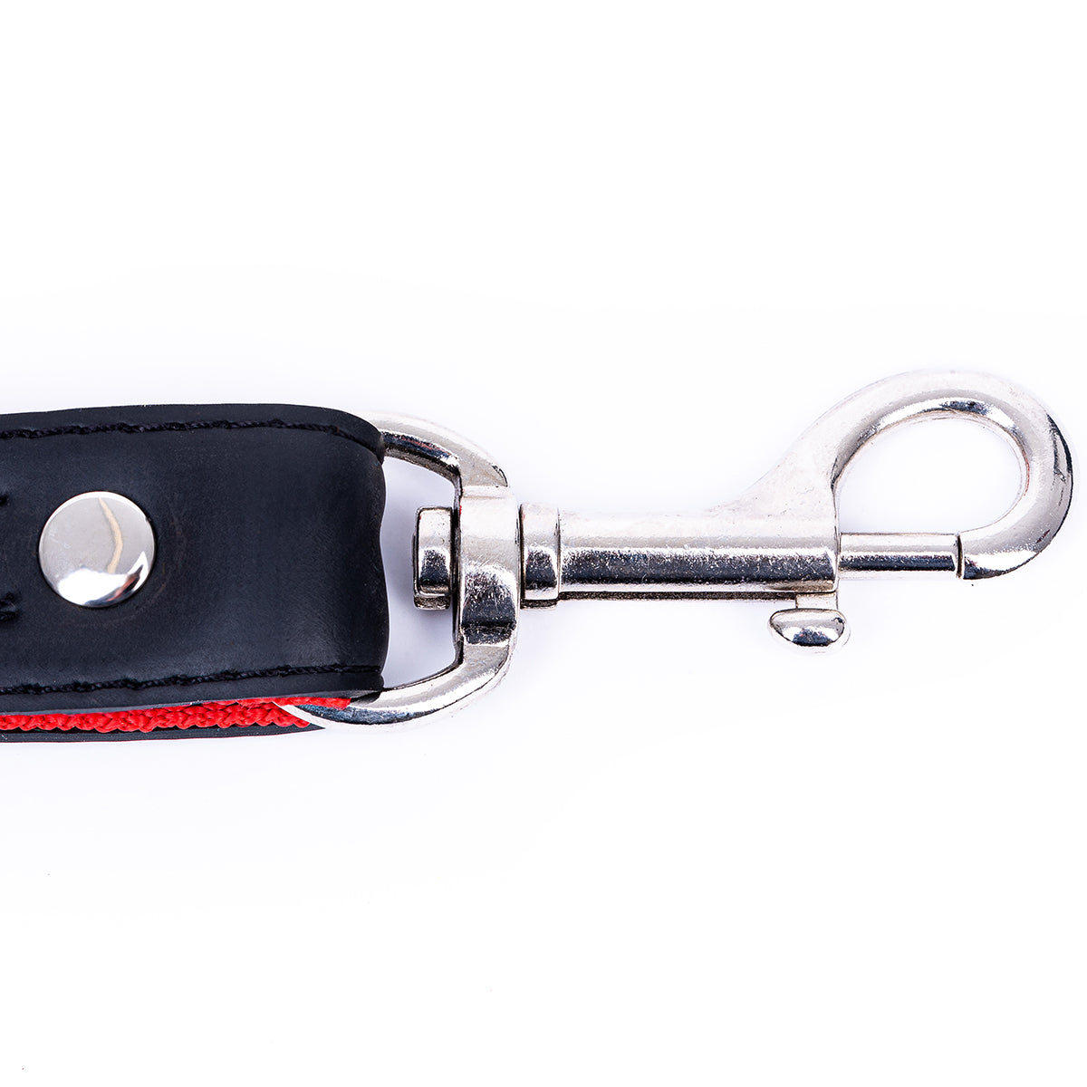Eco Friendly Recycled Inner Tube Vegan Dog Lead