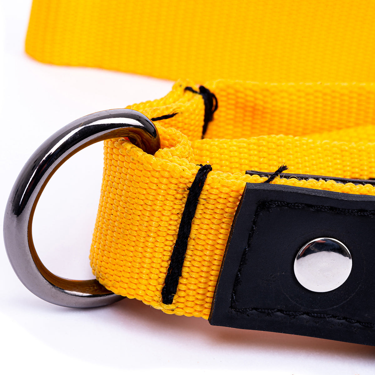 Eco Friendly Recycled Inner Tube Vegan Dog Lead