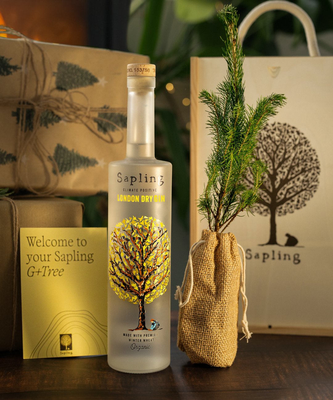 The G & Tree Gift Box