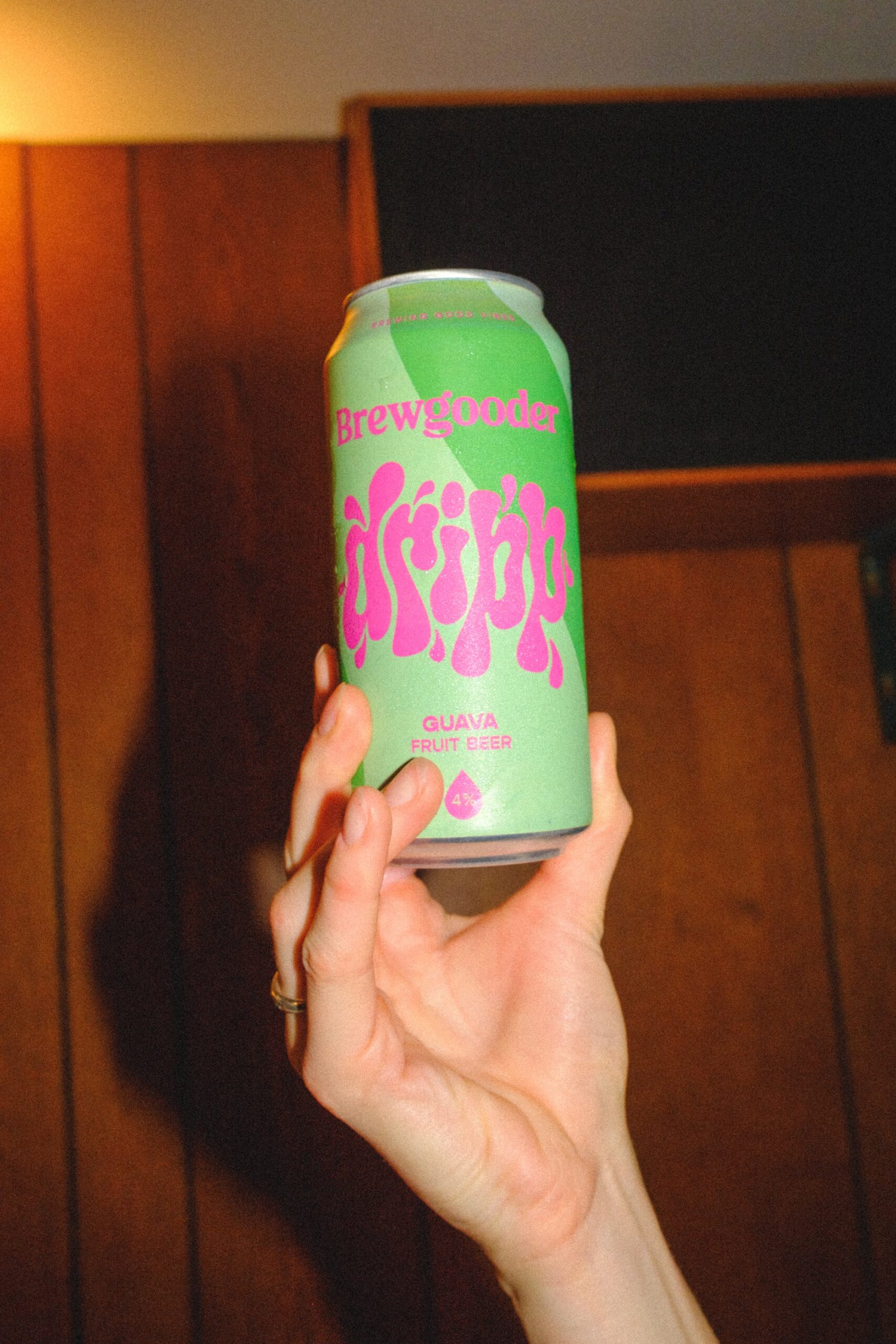 Dripp - Guava Fruit Beer
